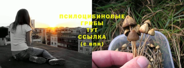 Альфа ПВП Баксан