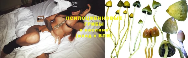 Альфа ПВП Баксан
