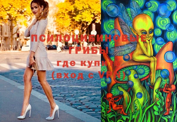 Альфа ПВП Баксан
