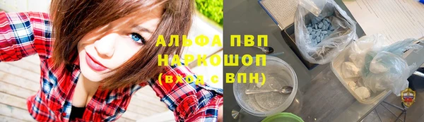 прущие грибы Армянск